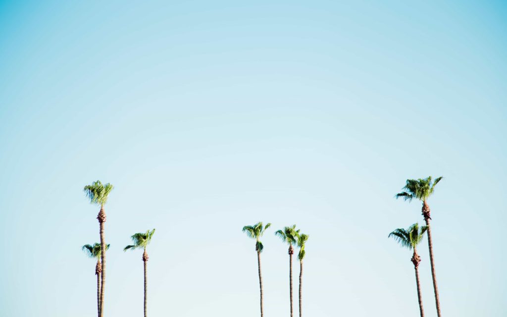 justyn-warner-519454-unsplash